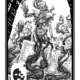 malacarne-01